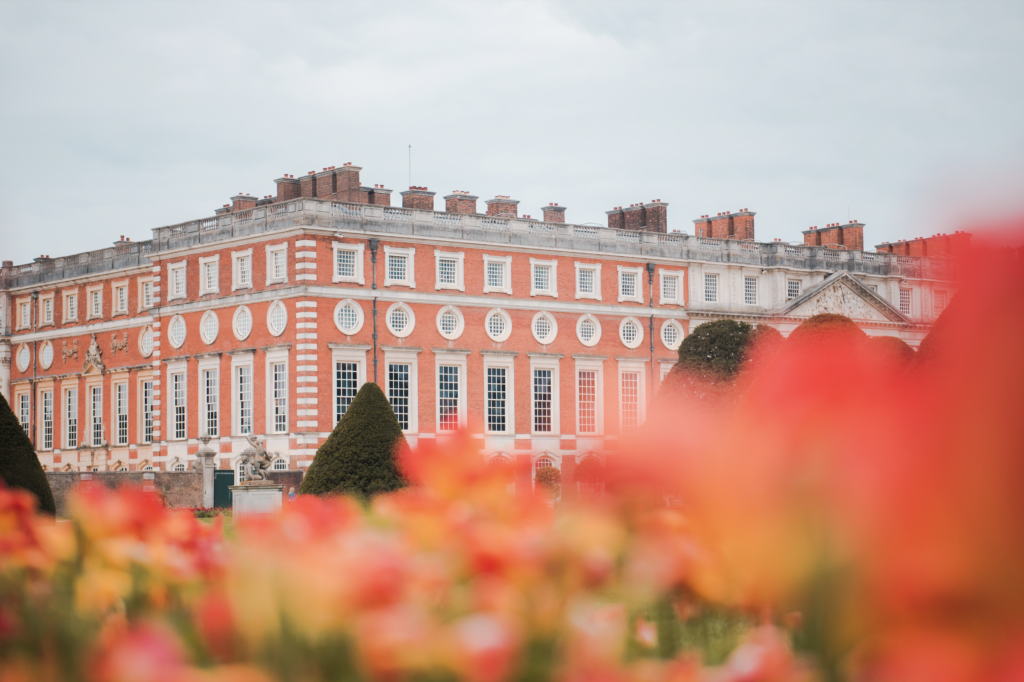 Hampton court palace framed by Tulips